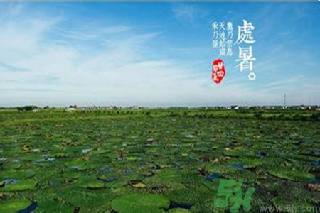 處暑吃什么水果？處暑養(yǎng)生水果推薦