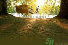 處暑為什么要吃鴨？處暑吃鴨的好處有哪些？