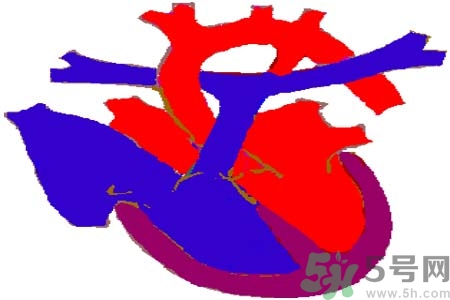 心臟病是怎么形成的？易發(fā)人群有哪些？