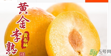 恐龍蛋水果怎么吃？恐龍蛋水果皮能吃嗎？