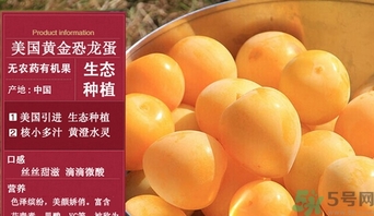 恐龍蛋水果怎么吃？恐龍蛋水果皮能吃嗎？