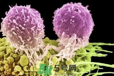 不宜過多食用辣椒的人群有哪些？夏天吃辣椒的好處有哪些？