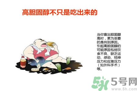 高膽固醇人群該怎么辦？膽固醇高需注意什么？
