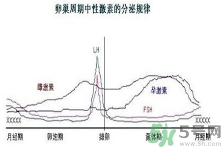 如何分清常見的激素藥？如何正確使用激素類藥物？