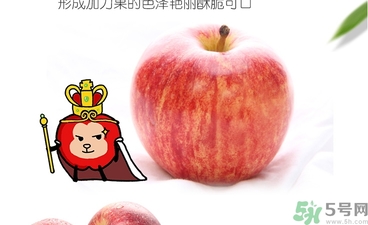 姬娜果是什么？姬娜果的功效作用