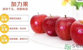 姬娜果是什么？姬娜果的功效作用