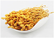 蟲(chóng)草花是涼性還是熱性?蟲(chóng)草花是涼性嗎?