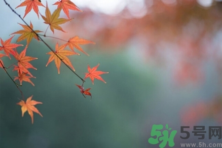 秋老虎如何謹防皮膚病？秋老虎如何預(yù)防皮膚??？