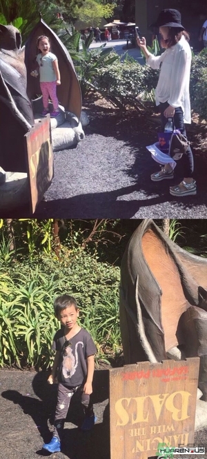 王寶強老婆馬蓉在美國嗎？婚姻中攜款逃跑受什么處罰？