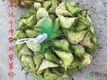 菱角和豬肉能一起吃嗎？菱角和什么不能一起吃？
