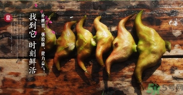 菱角和豬肉能一起吃嗎？菱角和什么不能一起吃？
