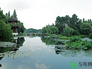 菱角是什么？菱角是什么季節(jié)成熟的？
