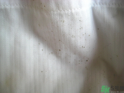 衣服長黑點怎么洗掉？衣服上長霉點怎么去除？