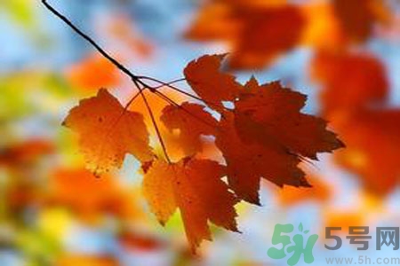 女性秋季防燥需注意哪些？女性秋季防燥吃什么？