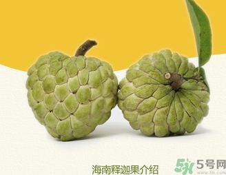 釋迦果怎么吃？釋迦的營養(yǎng)價值功效作用