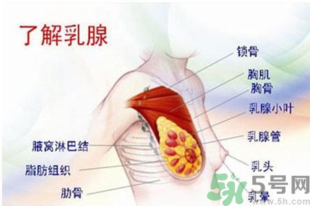 女性胸部按摩的好處有哪些？女性胸部按摩方法是什么？
