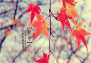 秋燥的表現(xiàn)是什么？小孩如何預(yù)防秋燥？