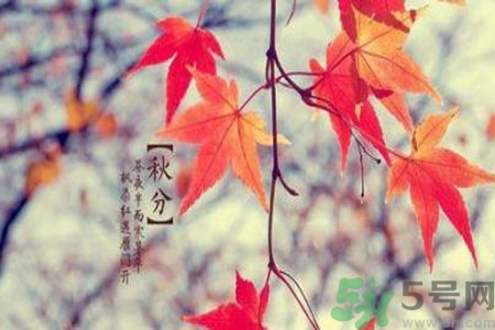 秋燥是什么？秋燥怎么辦？