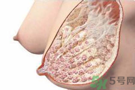 乳腺增生可以懷孕嗎？如何預(yù)防乳腺增生？