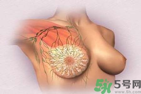 乳頭發(fā)黑怎么辦？怎么樣可以使乳頭變白？