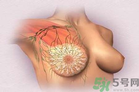 乳頭發(fā)黑是怎么回事？乳頭發(fā)黑是什么原因？