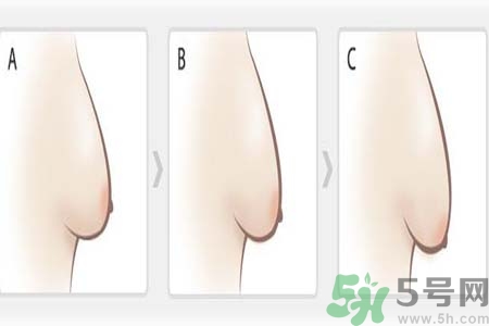 如何預(yù)防胸部松弛？吃什么能使胸部挺拔？