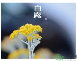 白露身不露是什么意思？白露還熱嗎？