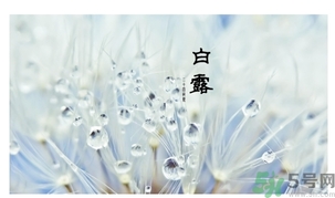 白露身不露是什么意思？白露還熱嗎？