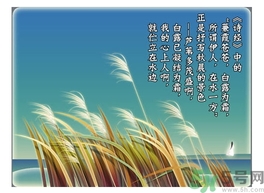 白露茶是什么茶？白露為什么要喝白露茶？