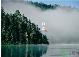 白露吃什么好？白露食療