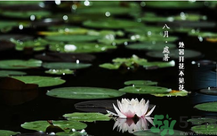 處暑如何養(yǎng)生？處暑養(yǎng)生要注意什么？