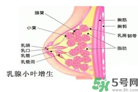 乳房上有硬塊怎么辦？乳房有硬塊的病因是什么？