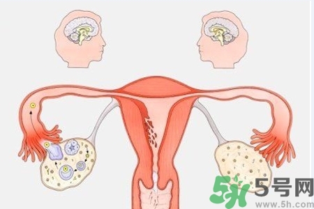 陰道出血和什么有關(guān)？陰道出血的應(yīng)急措施有哪些？