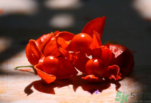紅姑娘怎么吃？紅姑娘怎么保存？