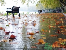 一場秋雨一場寒的意思?一場秋雨一場寒從什么時(shí)候開始?