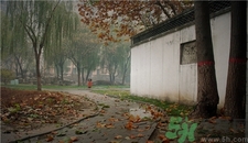 一場秋雨一場寒的意思?一場秋雨一場寒從什么時(shí)候開始?