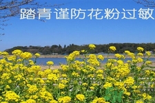 花粉過敏的表現(xiàn)是什么？如何有效的預(yù)防花粉過敏？