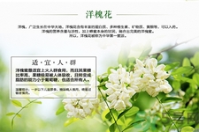 洋槐蜜是什么？洋槐蜜的作用與功效有哪些？
