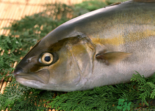 魚眼睛可以吃嗎？吃魚眼睛有什么好處？