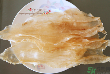 魚膠是什么？魚膠的功效與作用？