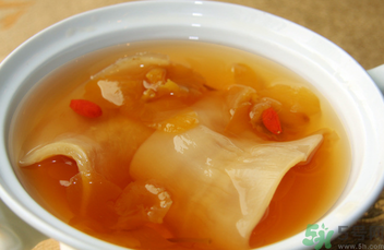 魚膠怎么燉不腥？魚膠的燉法推薦