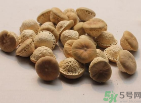 壯陽果可以泡水喝嗎？壯陽果泡水喝的功效與作用
