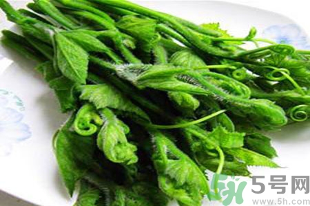南瓜藤的功效作用有哪些？南瓜藤的食用價值是什么？