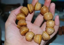 壯陽果怎么泡酒？ 壯陽果泡酒的功效與作用