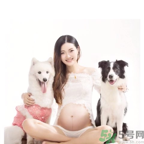 孕婦可以養(yǎng)狗嗎？養(yǎng)狗對孕婦有影響嗎？