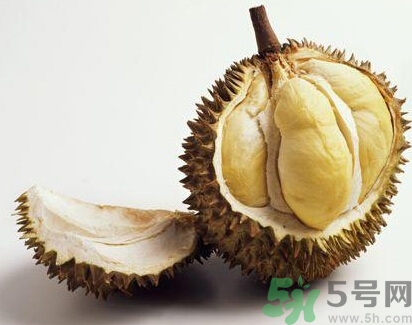 榴蓮能放冰箱嗎？榴蓮放在冰箱能保存幾天？