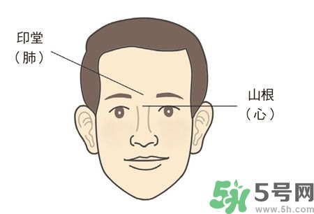 耳垂上有豎紋是怎么回事？山根有橫紋是什么??？