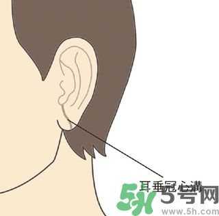 耳垂上有豎紋是怎么回事？山根有橫紋是什么??？