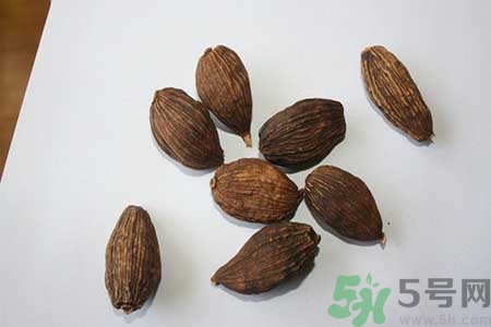草果是什么？草果的功效與作用