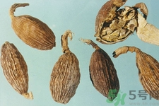 草果是什么？草果的功效與作用